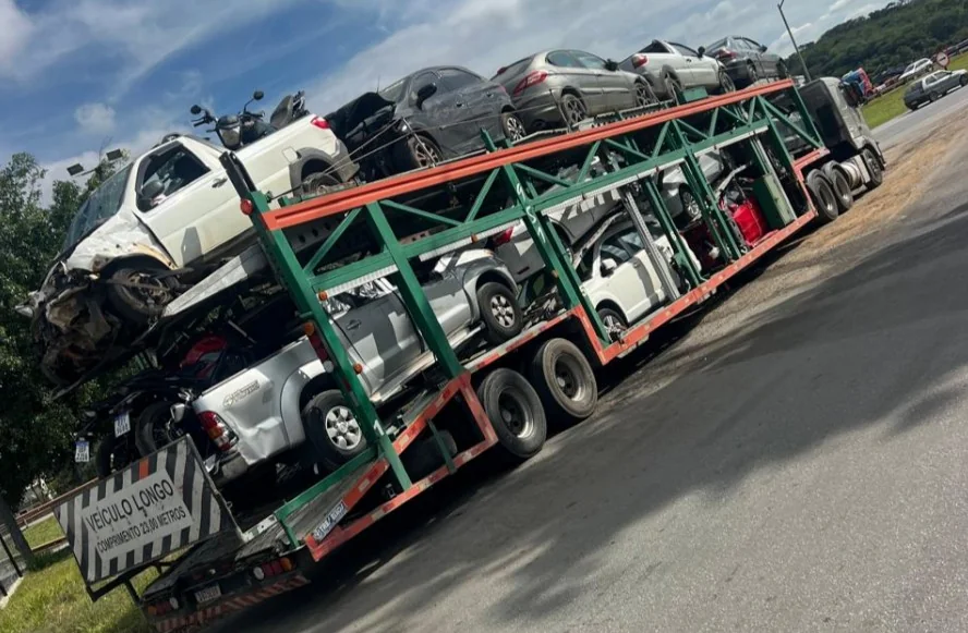 Cegonha Transportes75